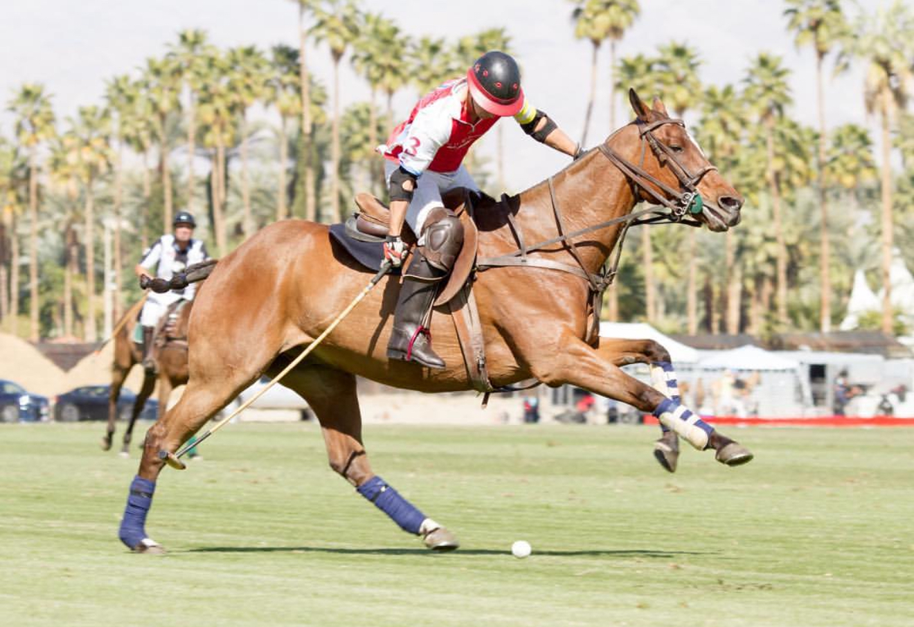 Jared Sheldon reaching for the ball during field polo