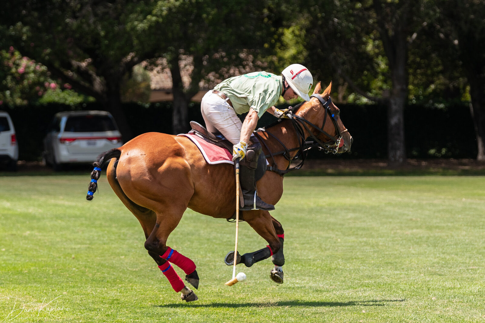 Bentley Tournament photo 2