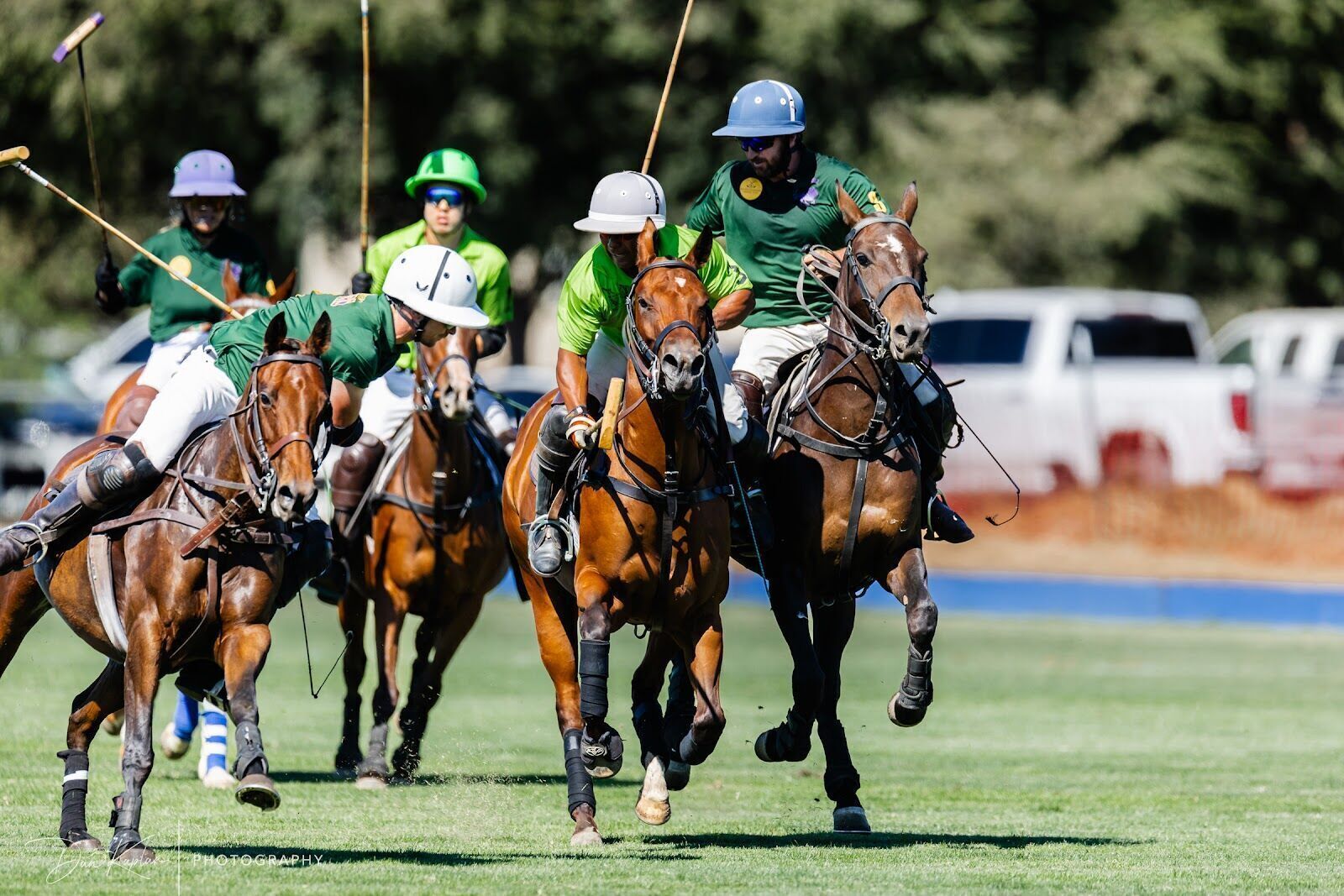 Polo spectators