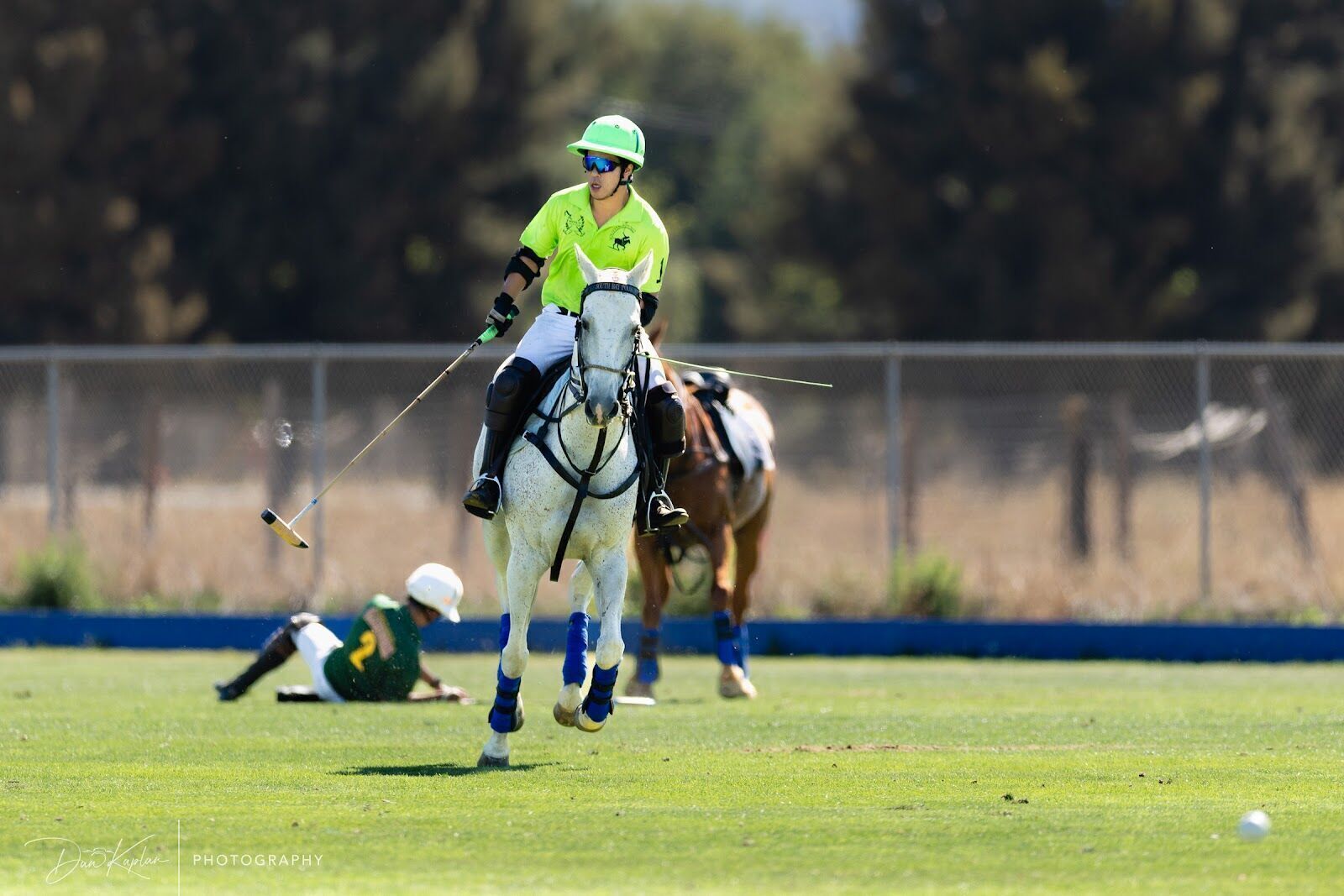 Season photo 14