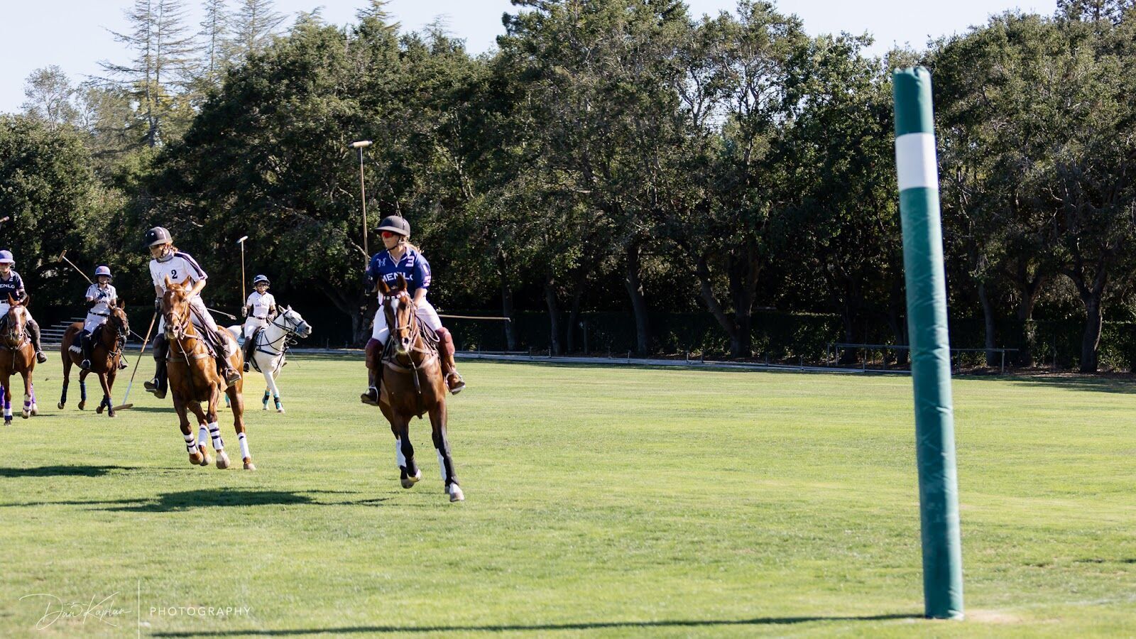 Season photo 125