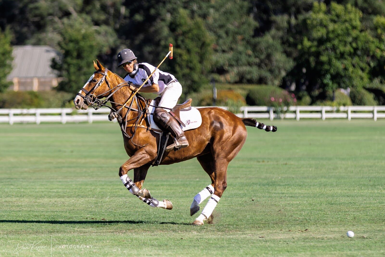 Season photo 128