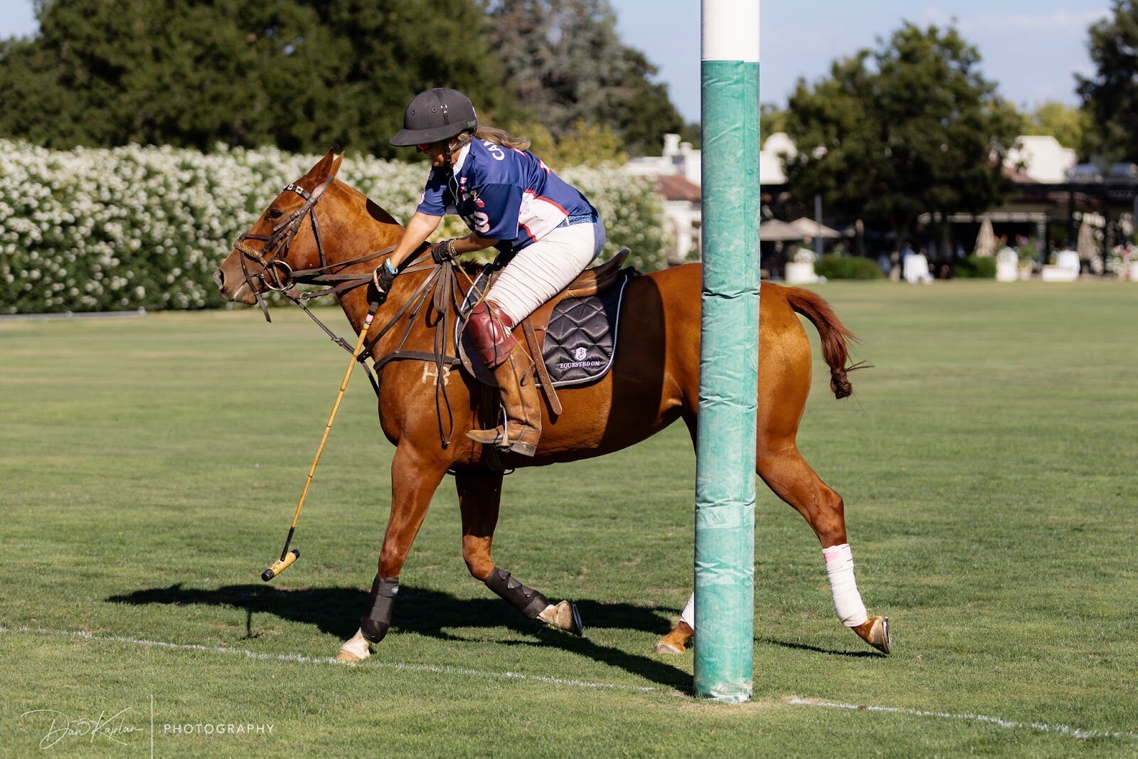 Season photo 131