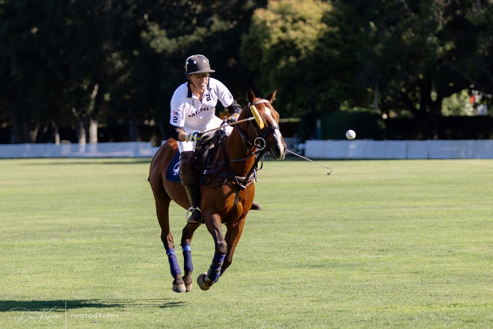 Season photo 145
