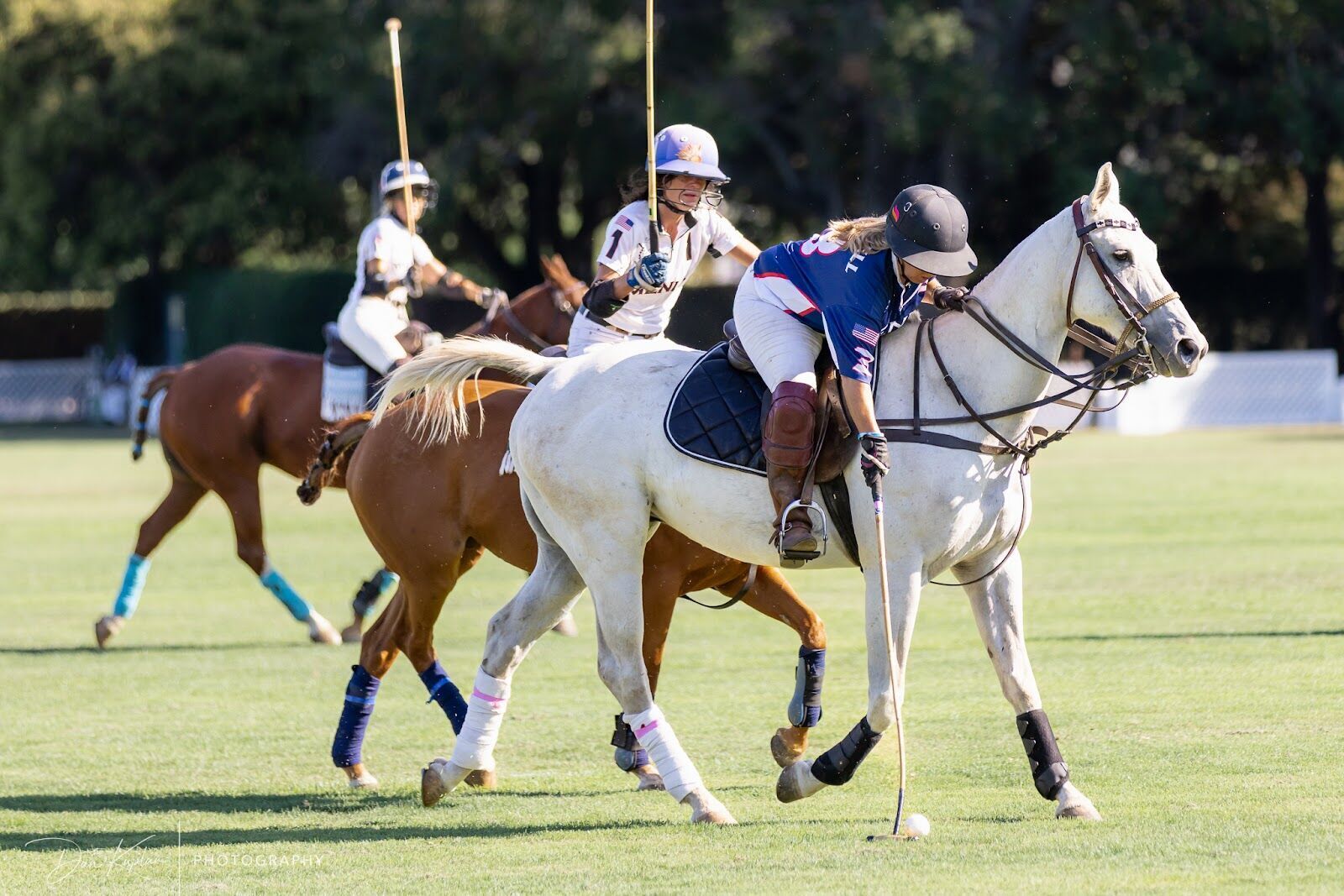 Season photo 146