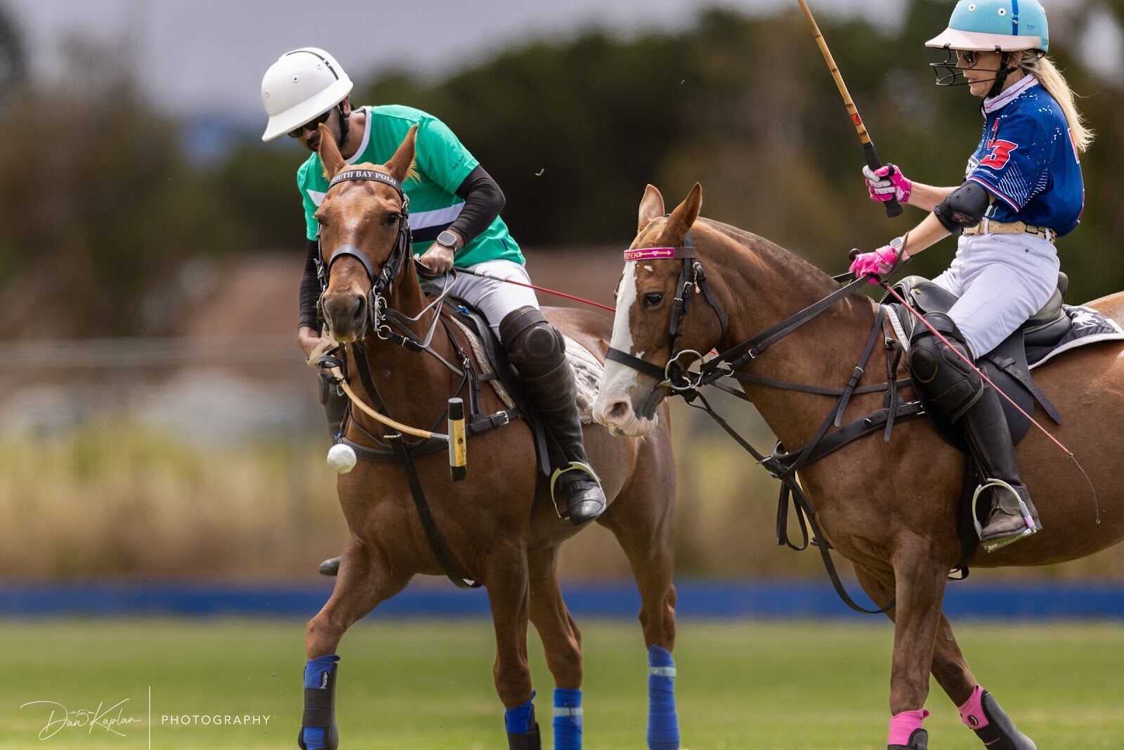 Season photo 154
